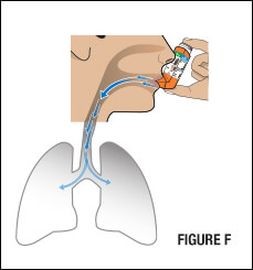 image shows how to Inhale deeply while pressing down on the center of the spray indicator at the top of container.