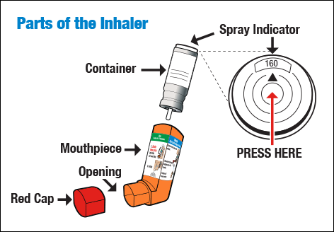 image shows all the parts of the Primatene Mist inhaler.